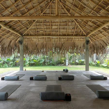 Lotus Surf And Wellness Leilighet Ahangama Eksteriør bilde