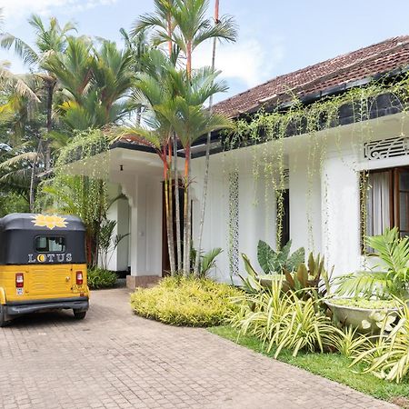 Lotus Surf And Wellness Leilighet Ahangama Eksteriør bilde