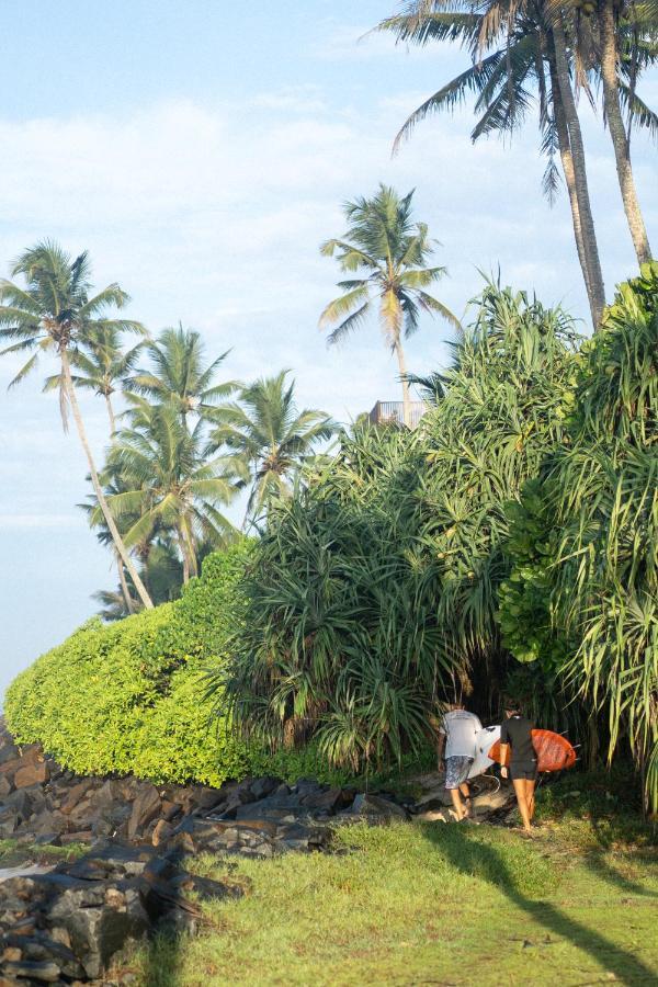Lotus Surf And Wellness Leilighet Ahangama Eksteriør bilde