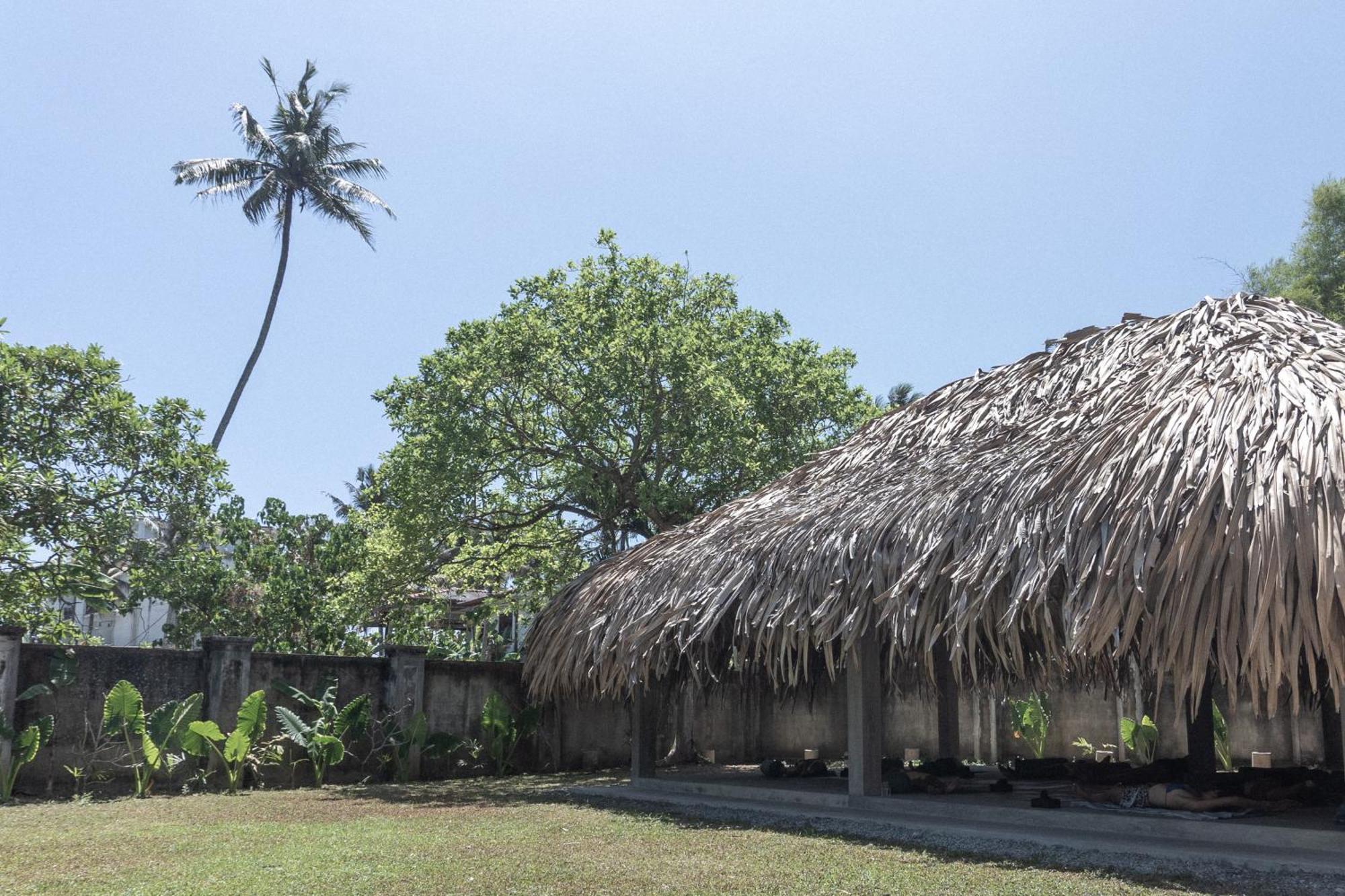 Lotus Surf And Wellness Leilighet Ahangama Eksteriør bilde
